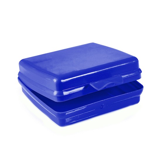 Blue Sandwich Container BPA Free